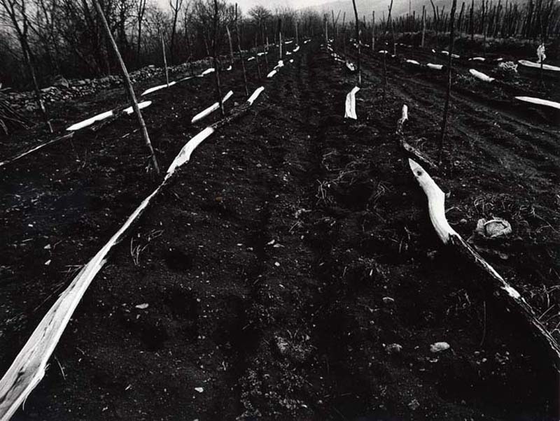 Paesaggio carsico