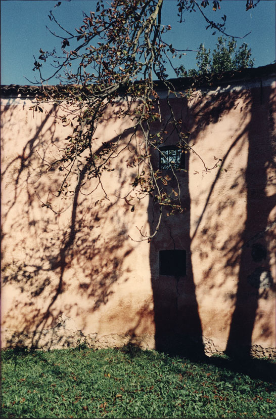 Alberi