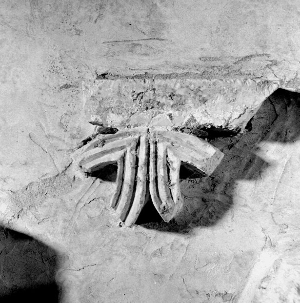 transenna/ frammento