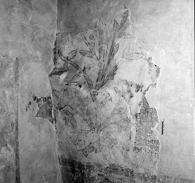 dipinto murale