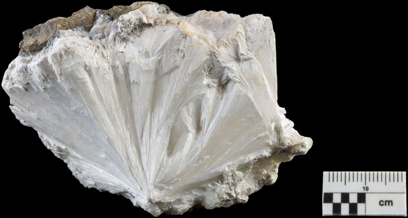Pectolite