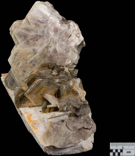 Muscovite