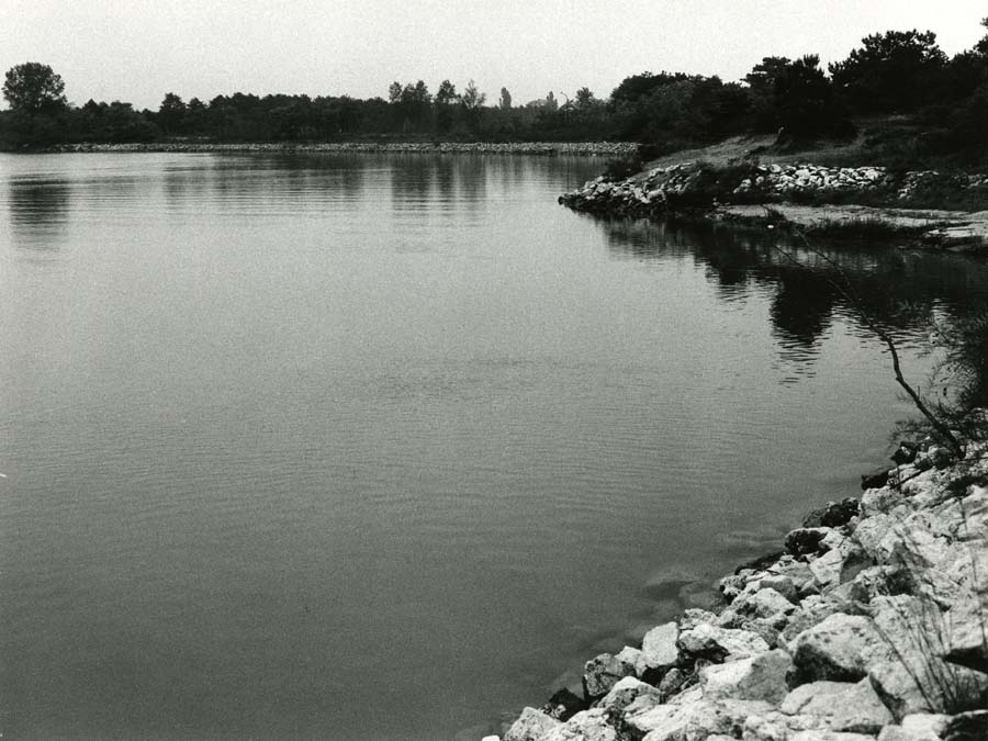Arginatura nella zona litoranea di Lignano Sabbiadoro