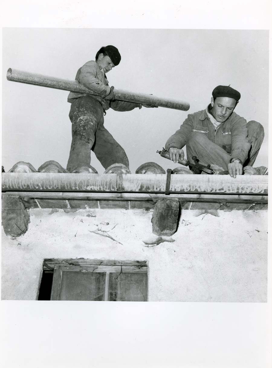 Lattonieri all'opera