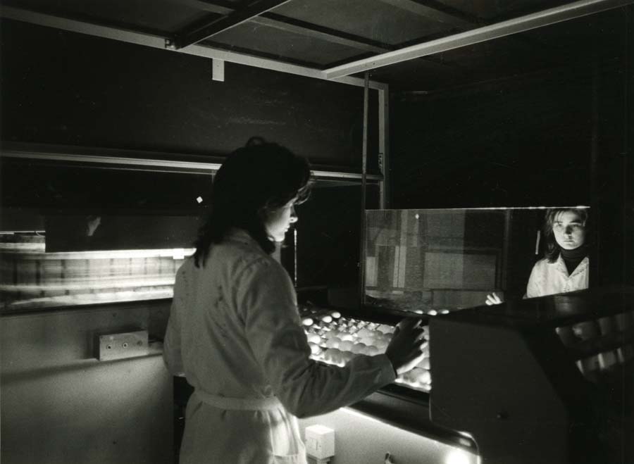 Coo.P.A. - Cooperativa fra produttori avicunicoli del Friuli-Venezia Giulia