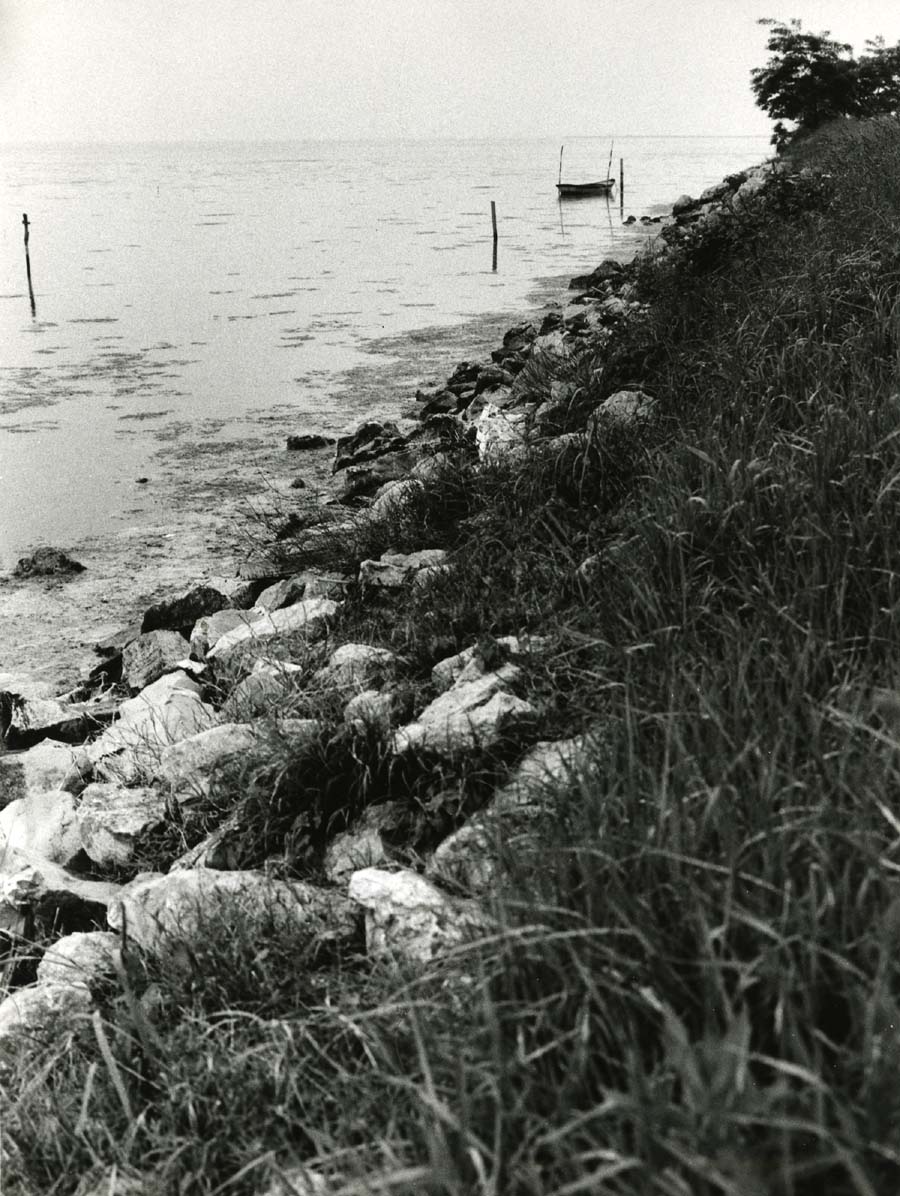 Interventi di arginatura sulla litoranea di Lignano Sabbiadoro
