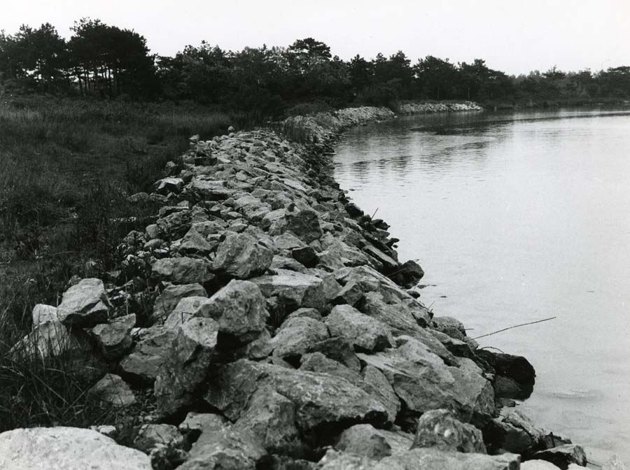 Arginatura nella zona litoranea di Lignano Sabbiadoro