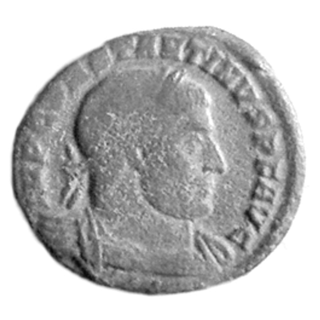 follis