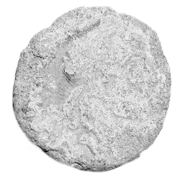 follis