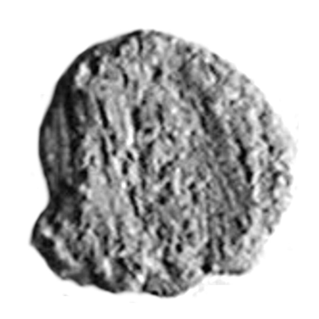 AE4