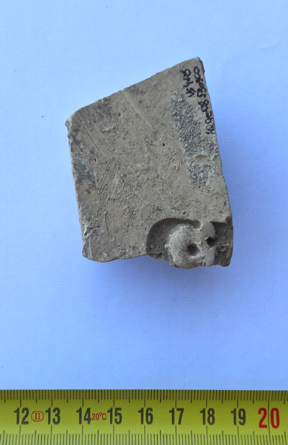 tegola/ bollata, frammento