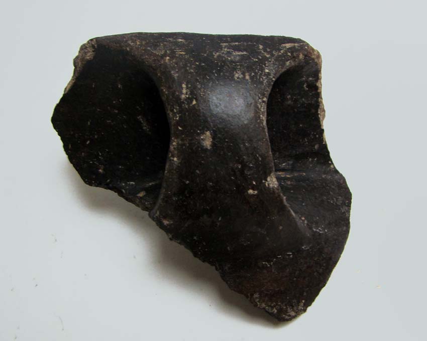 Reperti dalle grotte del Carso triestino