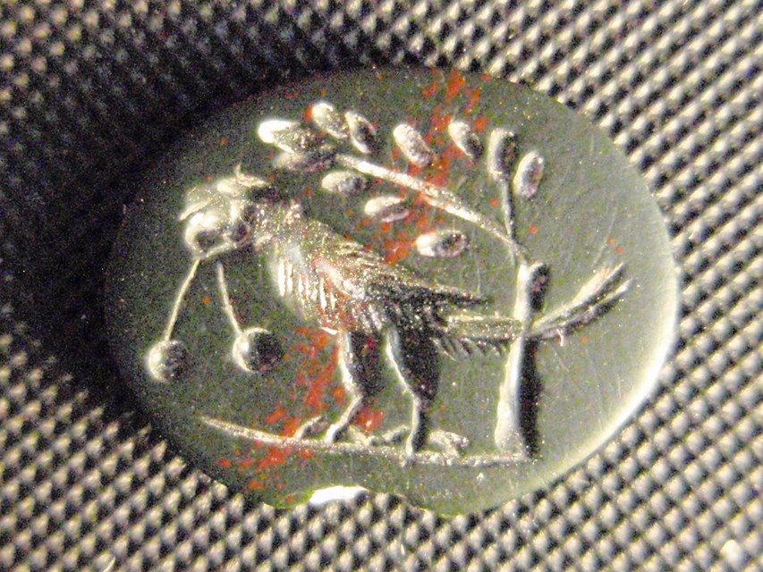 Gemme della Collezione Zandonati