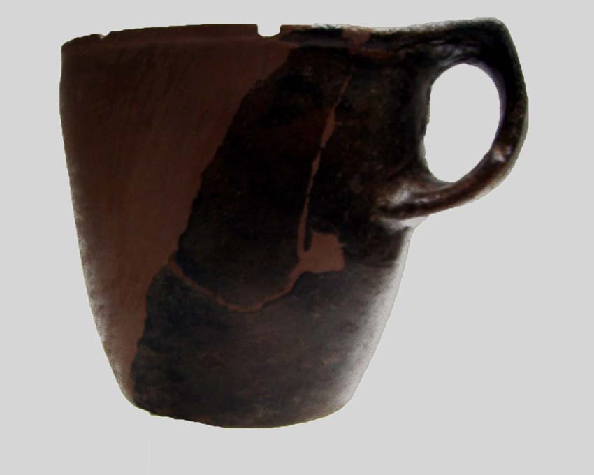 Reperti dalle grotte del Carso triestino