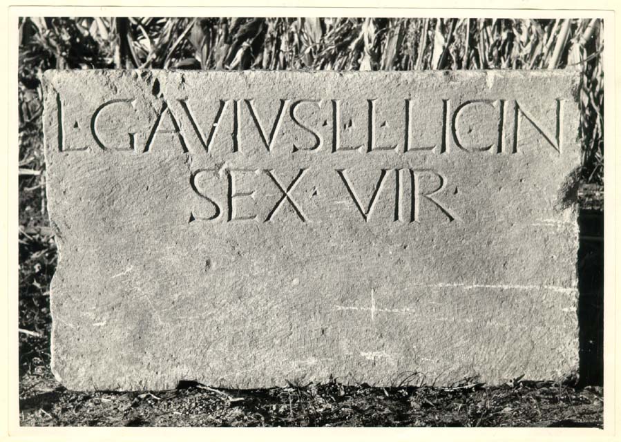 stele/ con iscrizione