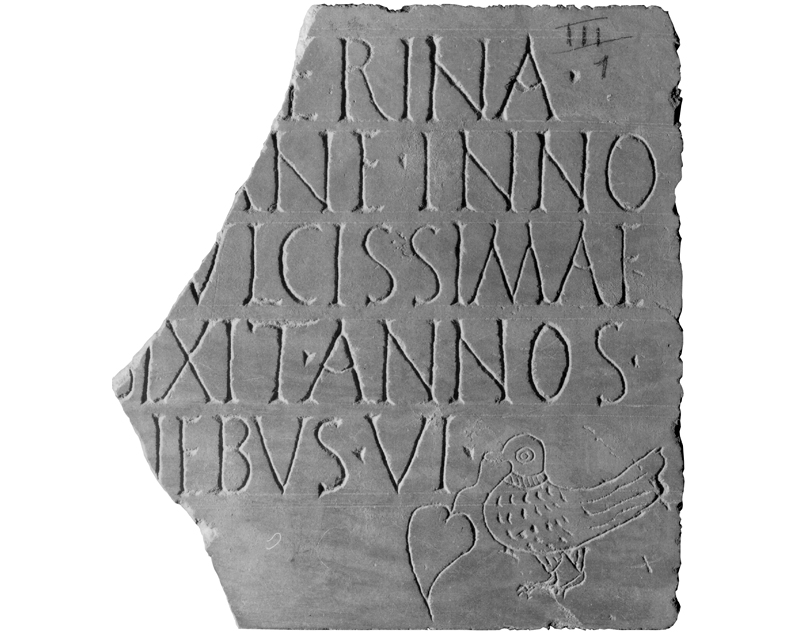 stele/ con iscrizione