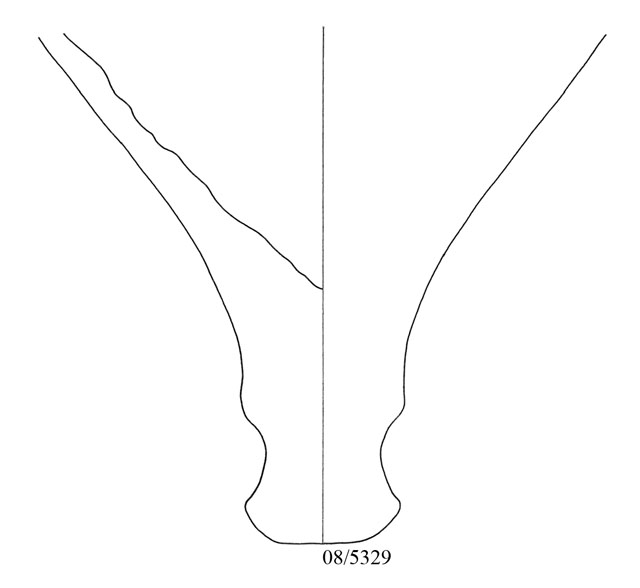 anfora/ da trasporto, puntale