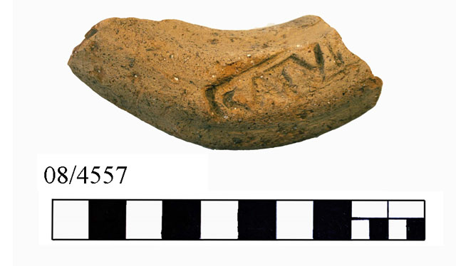 anfora/ da trasporto, ansa, con bollo epigrafico