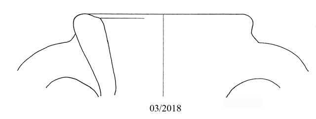 anfora/ da trasporto