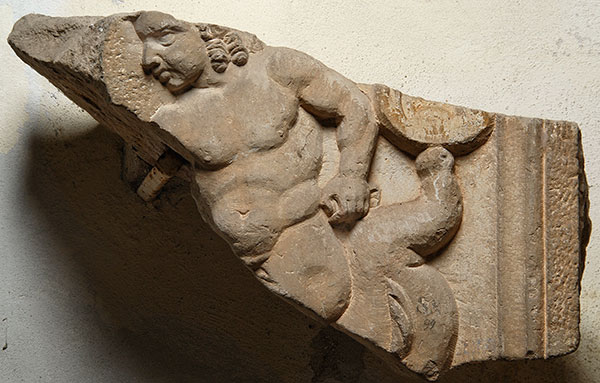 ara/ funeraria, dado
