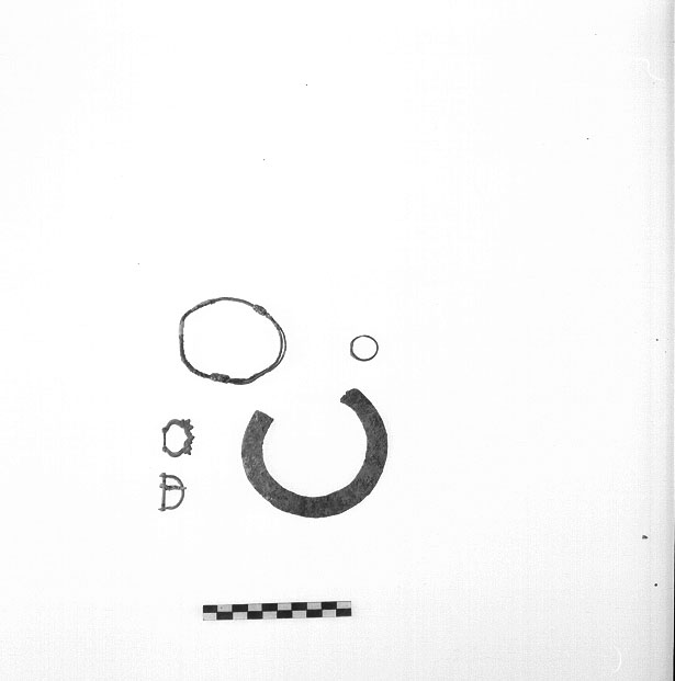 fibula - bracciale - anello - fibbia/ serie