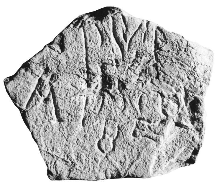stele/ con iscrizione