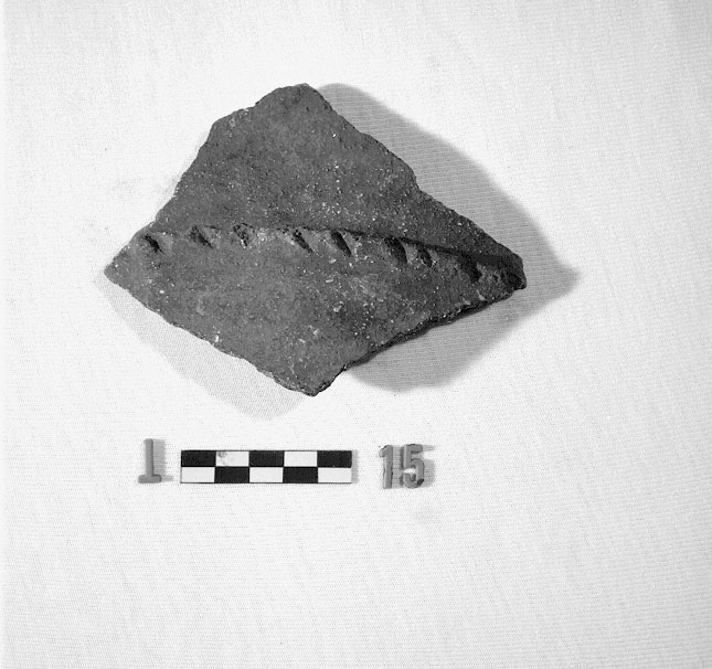 olla/ frammento