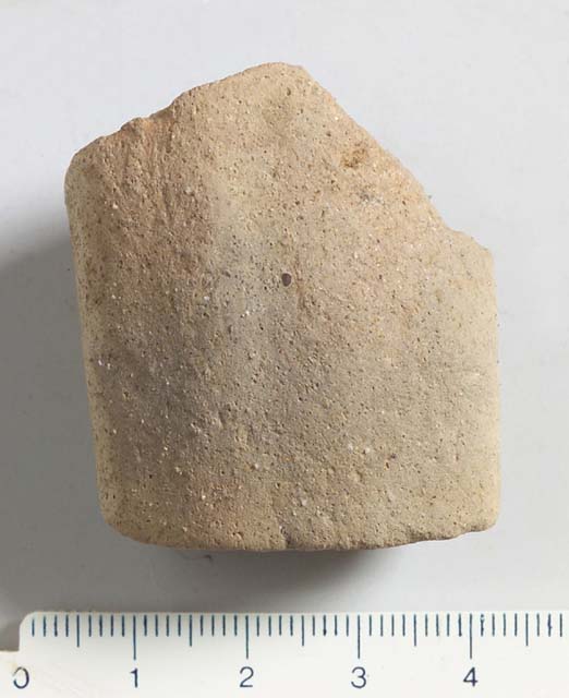 vaso/ ansa