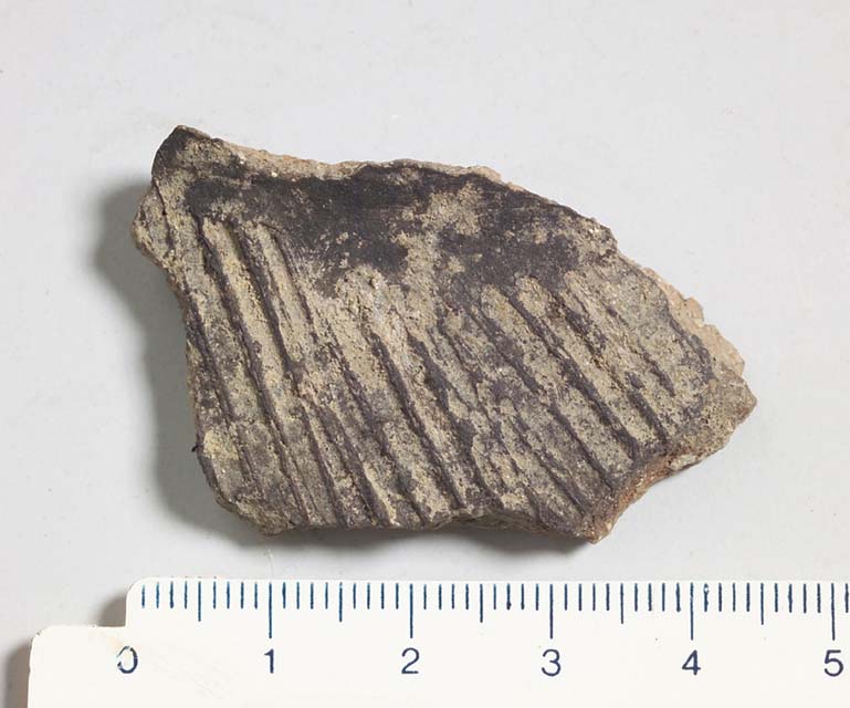 olla/ frammento
