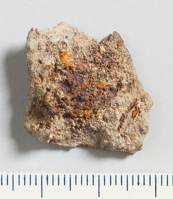 lamina/ frammento