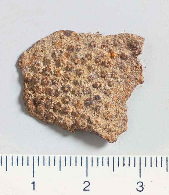 lamina/ frammento