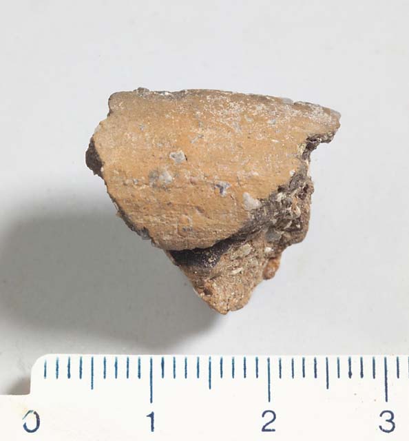 olla/ frammento