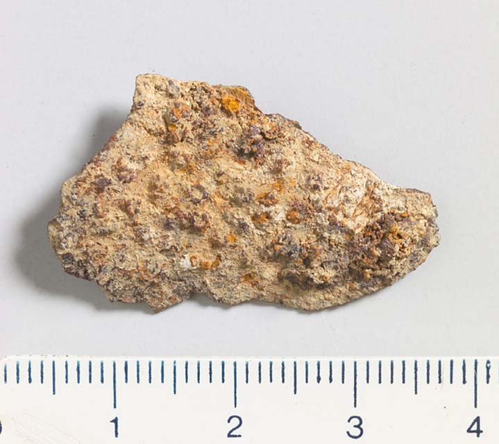 lamina/ frammento