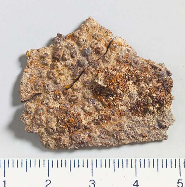 lamina/ frammento