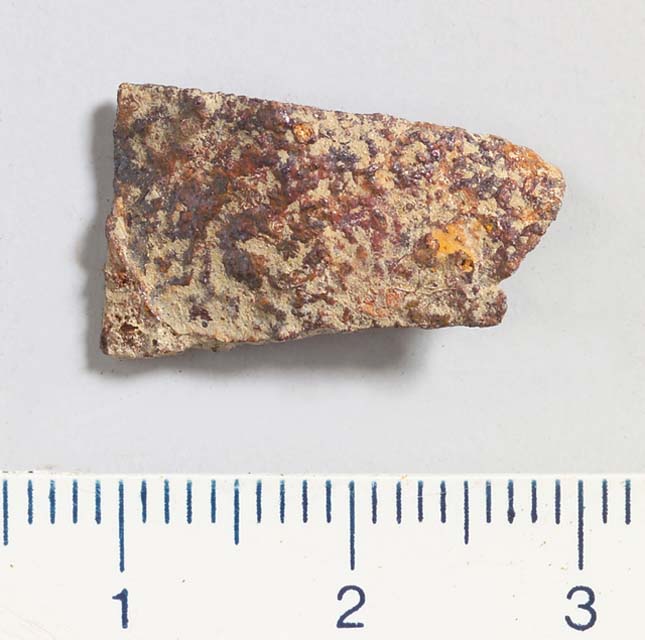 lamina/ frammento