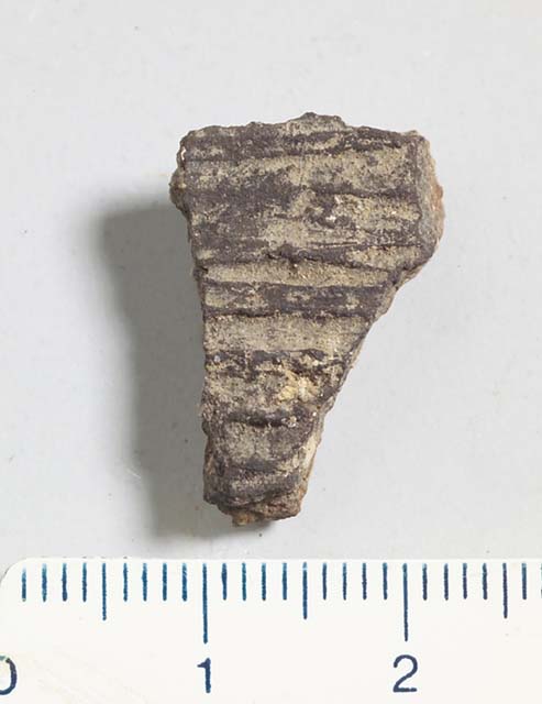 olla/ frammento