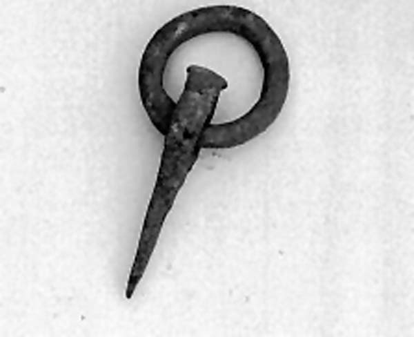 chiodo ad anello per tronchi