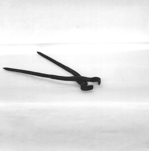 tenaglia da maniscalco