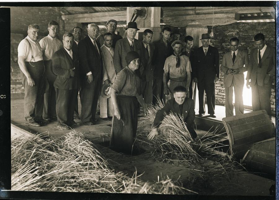 Fotografie dello studio Bront