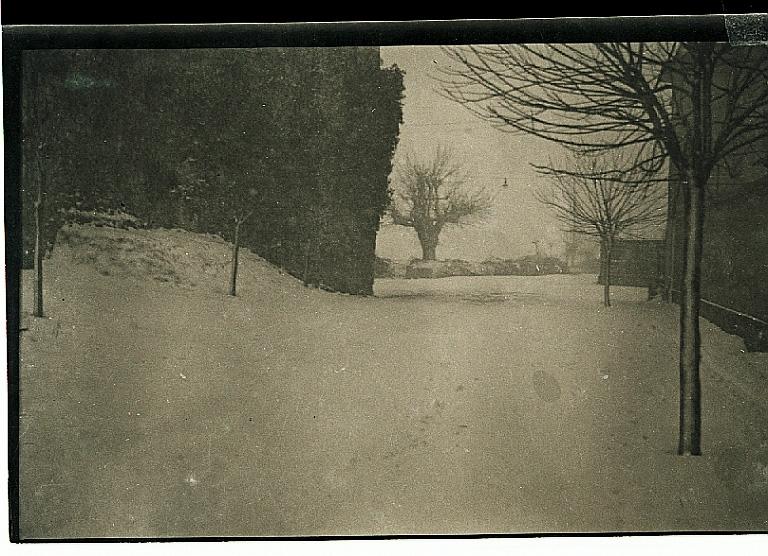 Fotografie dello studio Bront