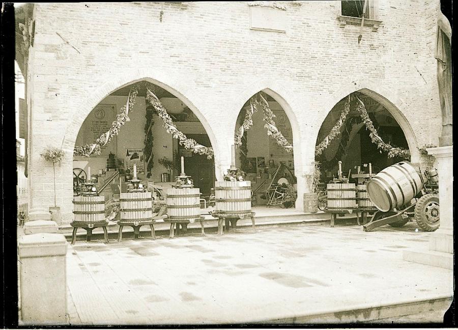 Fotografie dello studio Bront