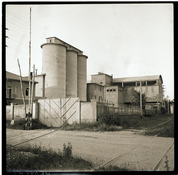 Fotografie dello studio Bront