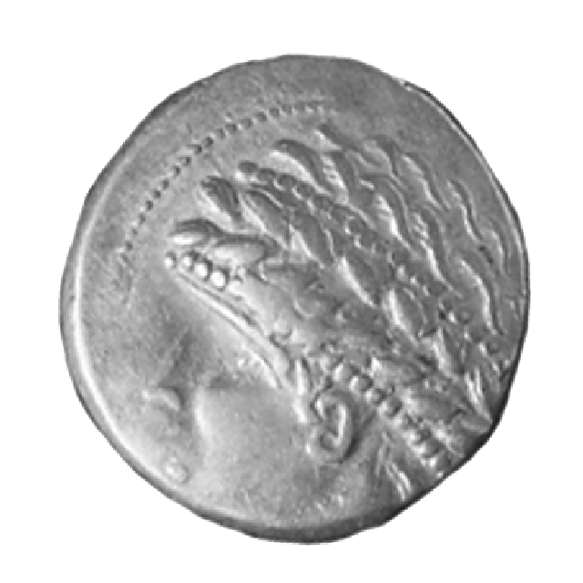 tetradracma