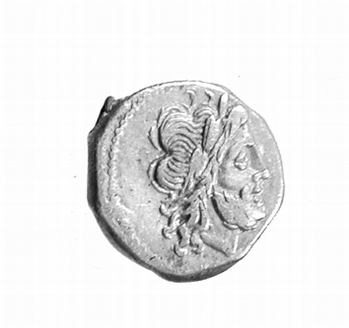 vittoriato