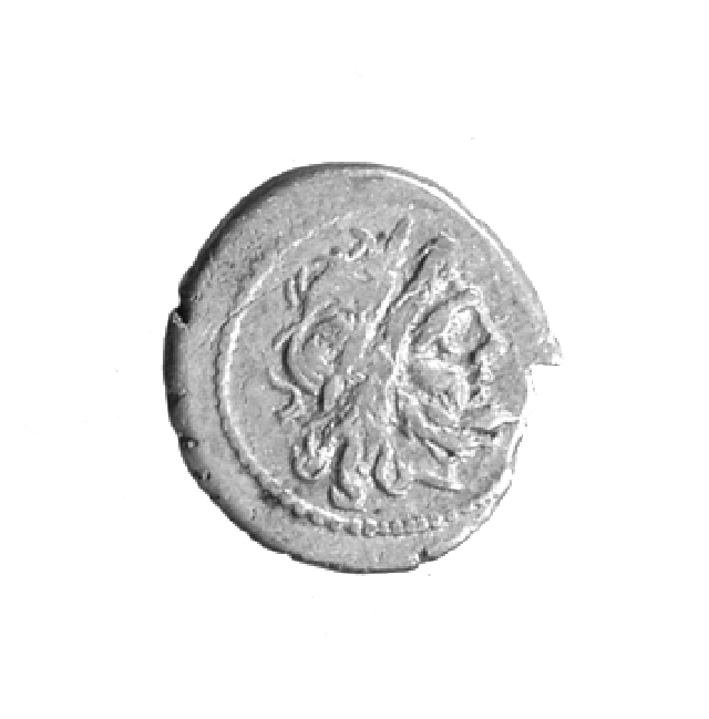vittoriato