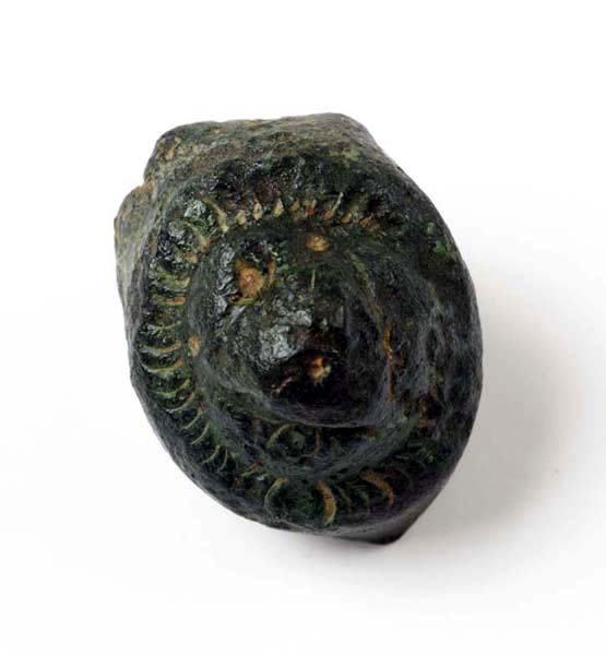 pomello (?)