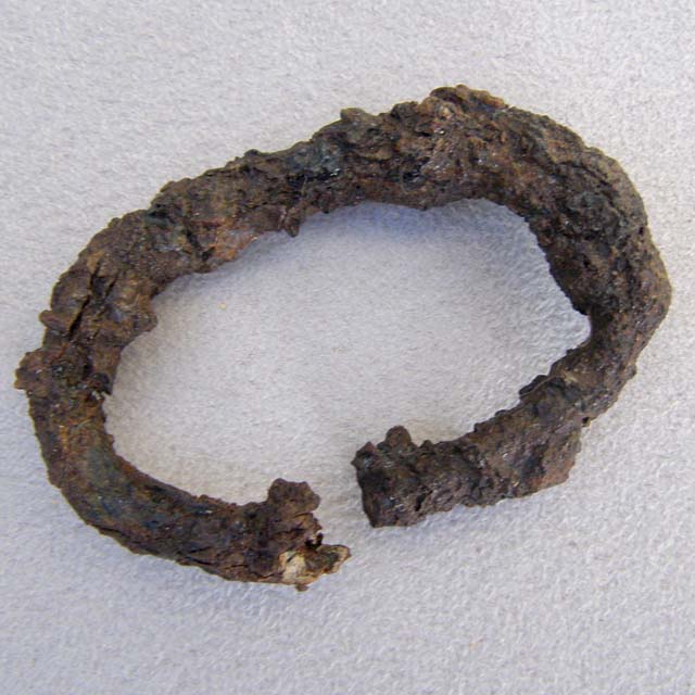 fibbia/ ad anello
