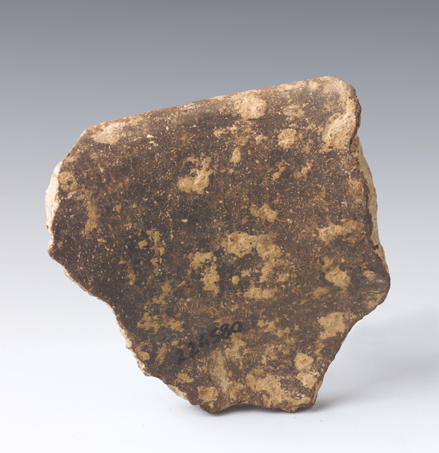 ciotola/ carenata, parete
