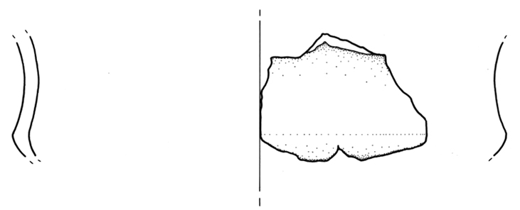 tazza/ carenata