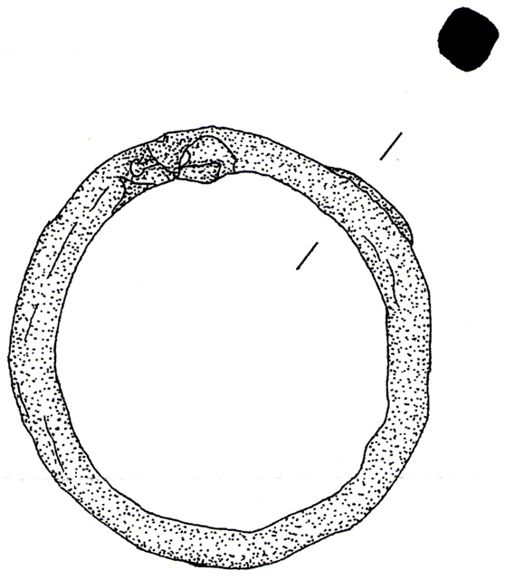 fibbia